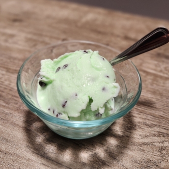 Ninja Creami Mint Chocolate Chip Ice Cream